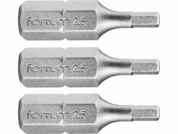 FORTUM Bity IMBUS H2.5x25mm
