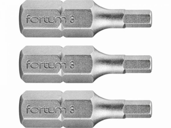 FORTUM Bity IMBUS H3.0x25mm