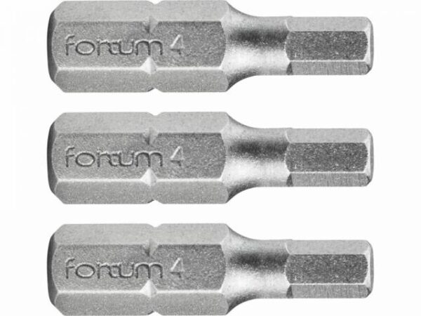 FORTUM Bity IMBUS H4.0x25mm
